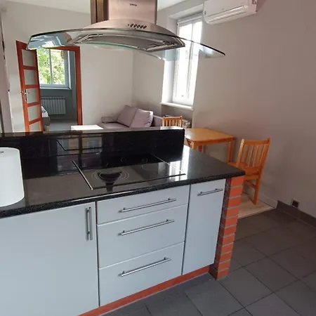 Apartament Gliwice Centrum Plus Parking Exteriér fotografie